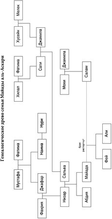 Джин Сэссон - Майада. Дочь Ирака