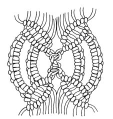 Светлана Ращупкина - Макраме для начинающих. Лучшие и оригинальные модели