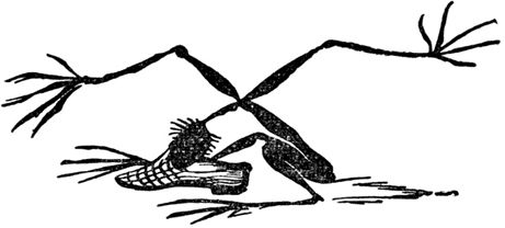 Эдвард Лир - Чистый nonsense (сборник)