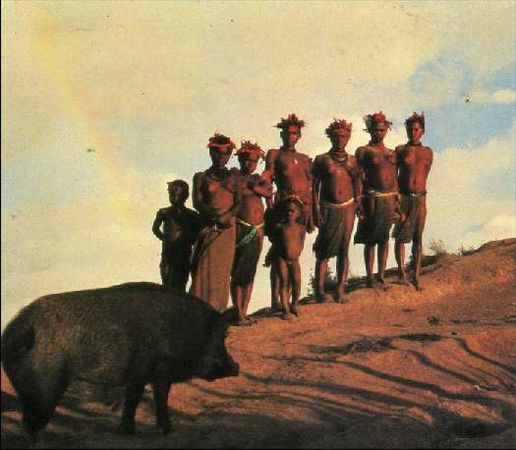 Карло Маури - Когда риск - это жизнь!