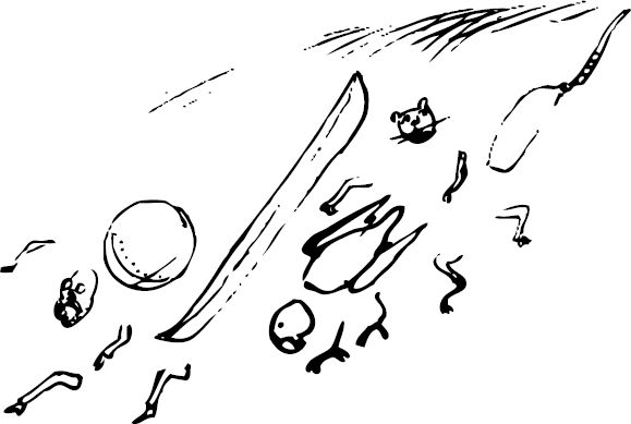 Эдвард Лир - Чистый nonsense (сборник)