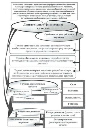 Евгений Головихин, Сергей Степанов - Теоретические и методические основы...