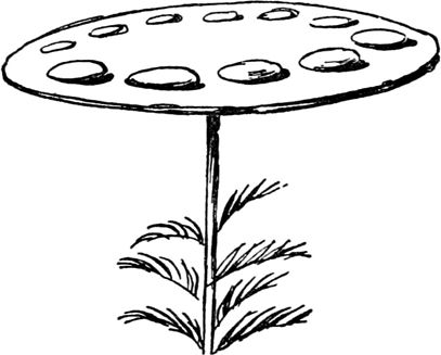 Эдвард Лир - Чистый nonsense (сборник)