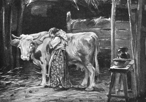 Александр Афанасьев - Народные русские сказки из собрания А. Н. Афанасьева