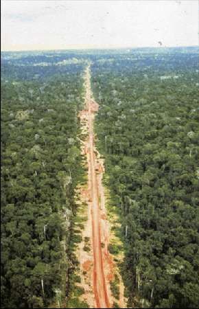 Карло Маури - Когда риск - это жизнь!