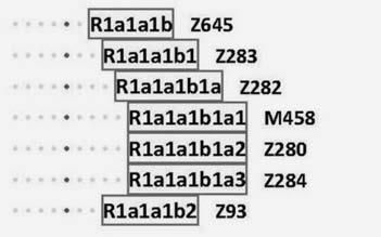 Анатолий Клёсов - Кому мешает ДНК-генеалогия?
