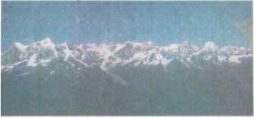 Бернгард Гржимек - От кобры до медведя гризли