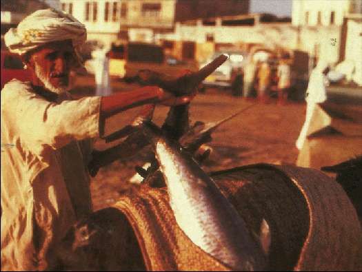 Карло Маури - Когда риск - это жизнь!