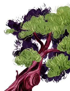 Елена Ожич - Мой папа - мальчик