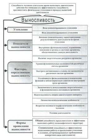 Евгений Головихин, Сергей Степанов - Теоретические и методические основы...