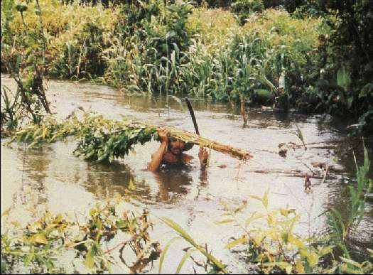 Карло Маури - Когда риск - это жизнь!