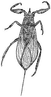 Марк Махлин, Людмила Солоницына - Аквариум в школе