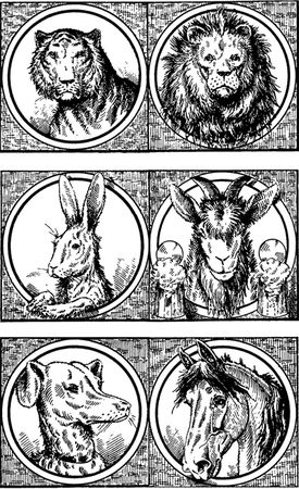 Юрий Подольский - Выжигание по дереву. Техники, приемы, изделия