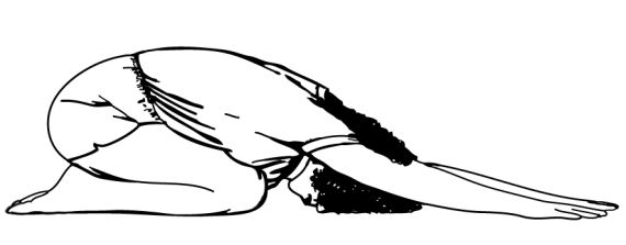 Свами Брахмачари - 5 минут йоги не вставая с кровати. Для каждой женщины в...