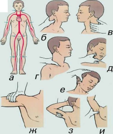 Андрей Круз - Методичка по оказанию первой помощи