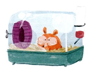 Елена Ожич - Мой папа - мальчик