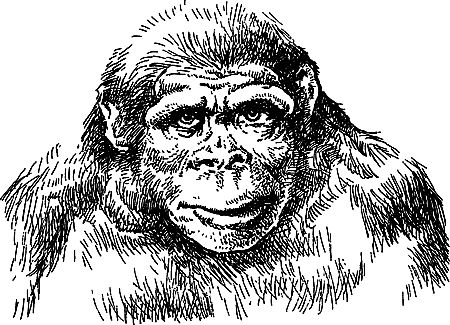 Джек Лондон, Герберт Уэллс и др. - Сила сильных