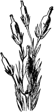 Эдвард Лир - Чистый nonsense (сборник)