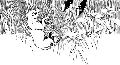 Александр Афанасьев - Народные русские сказки из собрания А. Н. Афанасьева