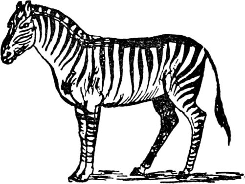 Эдвард Лир - Чистый nonsense (сборник)