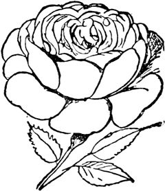 Эдвард Лир - Чистый nonsense (сборник)