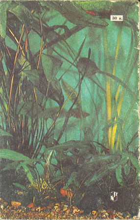 Марк Махлин, Людмила Солоницына - Аквариум в школе