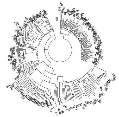Анатолий Клёсов - Кому мешает ДНК-генеалогия?