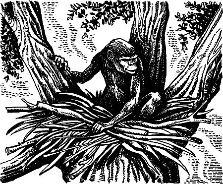 Джек Лондон, Герберт Уэллс и др. - Сила сильных