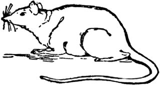 Эдвард Лир - Чистый nonsense (сборник)