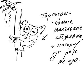 Александр Покровский - Тропик лейтенанта. Пиратское рондо