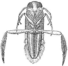 Марк Махлин, Людмила Солоницына - Аквариум в школе