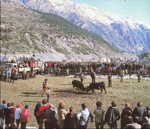 Карло Маури - Когда риск - это жизнь!