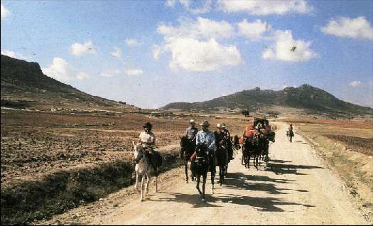 Карло Маури - Когда риск - это жизнь!