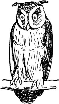 Эдвард Лир - Чистый nonsense (сборник)