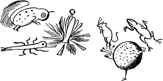 Эдвард Лир - Чистый nonsense (сборник)