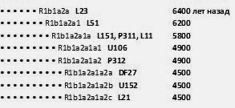 Анатолий Клёсов - Кому мешает ДНК-генеалогия?