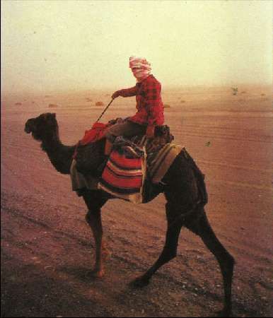 Карло Маури - Когда риск - это жизнь!