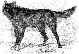 Александр Афанасьев - Народные русские сказки из собрания А. Н. Афанасьева