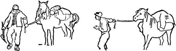 Илья Рыжов - К заоблачному озеру