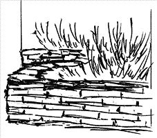 Елизавета Морозова - Стиль вашего сада