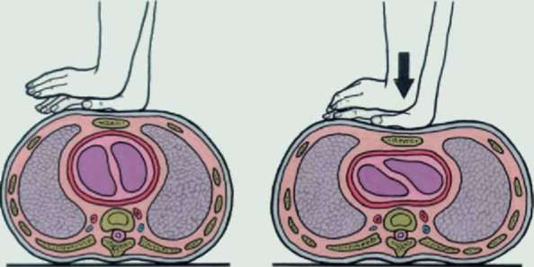 Андрей Круз - Методичка по оказанию первой помощи