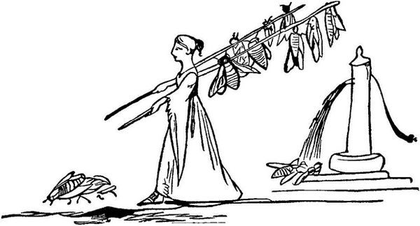 Эдвард Лир - Чистый nonsense (сборник)