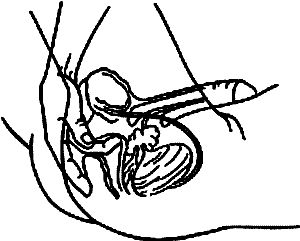 Юлия Улыбина - Любовь и ваше здоровье