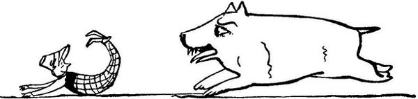 Чистый nonsense (сборник)