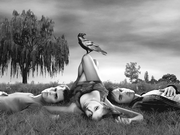 Елена Хаецкая - Дневники вампира