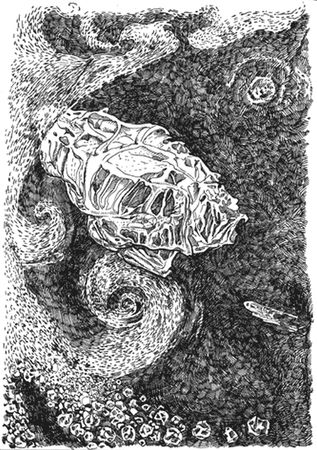 Александр Бергер - Каржиж