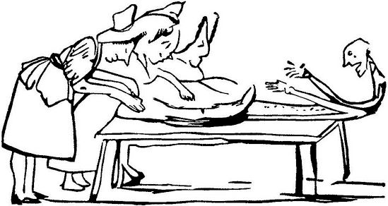 Эдвард Лир - Чистый nonsense (сборник)