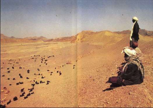 Карло Маури - Когда риск - это жизнь!