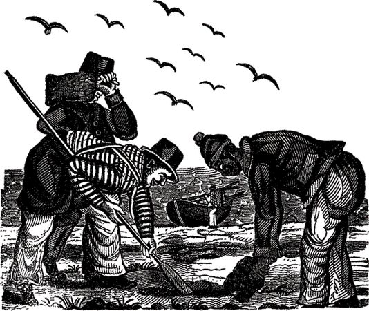 Чарльз Элмс - Пираты. Рассказы о знаменитых разбойниках