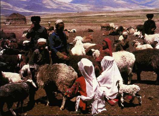 Карло Маури - Когда риск - это жизнь!